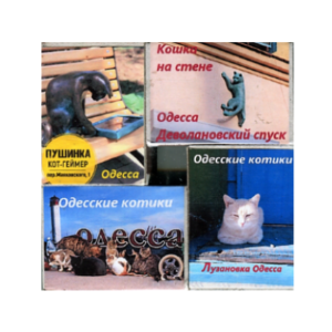 Спички магниты № 023 «Одесские котики 1»