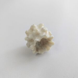 Нецке Корал, кістка, ручне різьблення, 2,2*1,5 см.